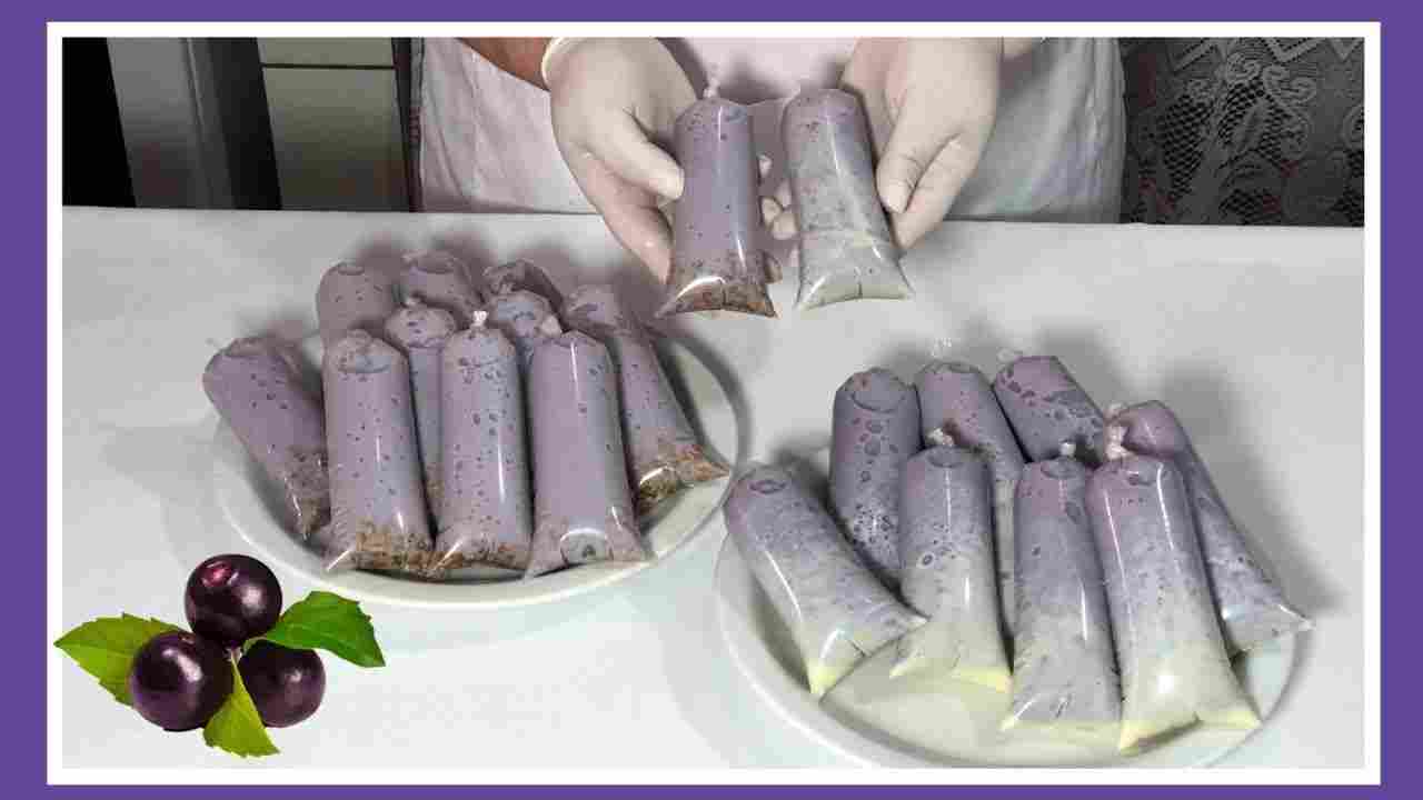 Geladinho Gourmet de Açaí Rende Muito